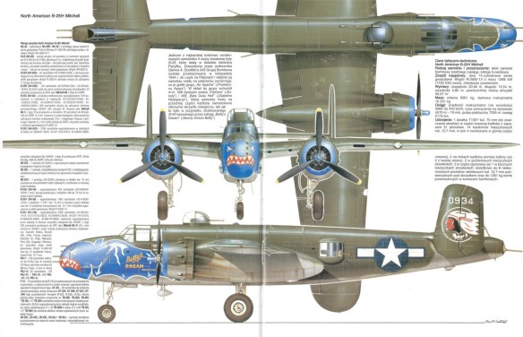 1706414063 159 US BomberFighter Aircraft I
