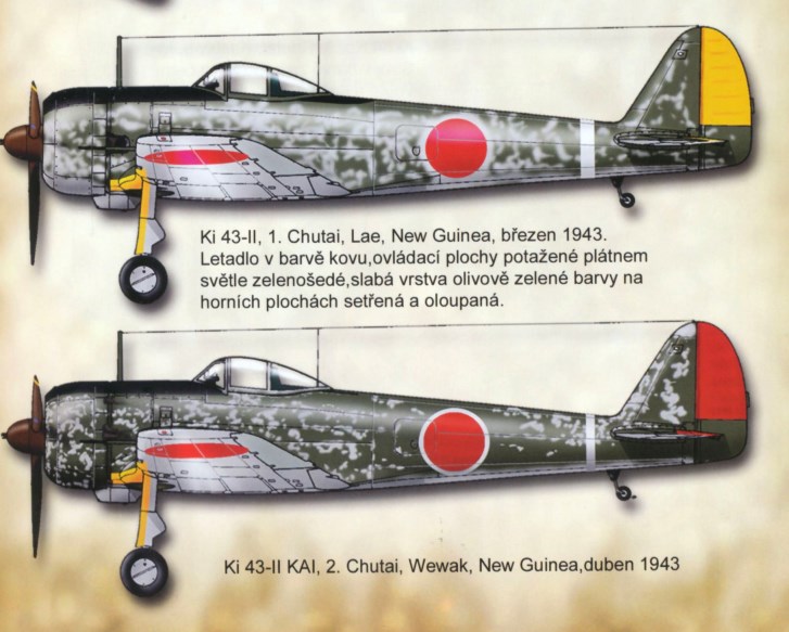 1706452372 117 JAPANESE AIR OPERATIONS OVER NEW GUINEA DURING THE SECOND WORLD