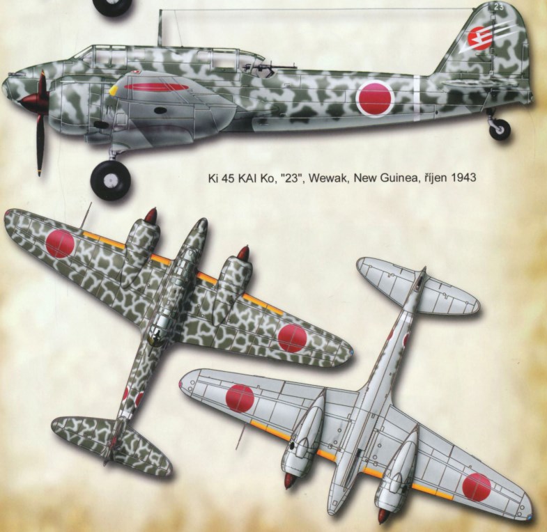 1706452373 389 JAPANESE AIR OPERATIONS OVER NEW GUINEA DURING THE SECOND WORLD