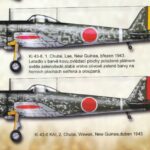 JAPANESE AIR OPERATIONS OVER NEW GUINEA DURING THE SECOND WORLD WAR Part I