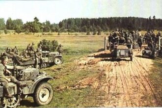 Third Panzer Division: From the Spree to the Bug 1939 Part III