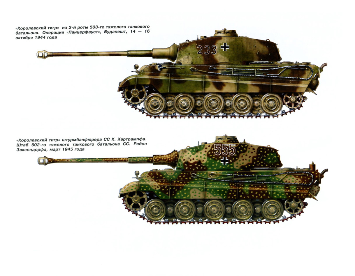 1706473982 641 Tiger Ausf B or Tiger II Part I