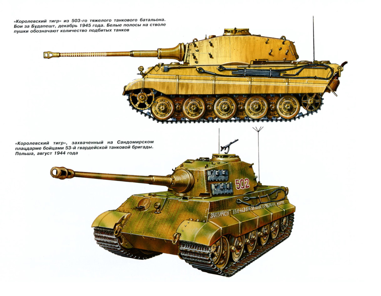 1706473982 998 Tiger Ausf B or Tiger II Part I