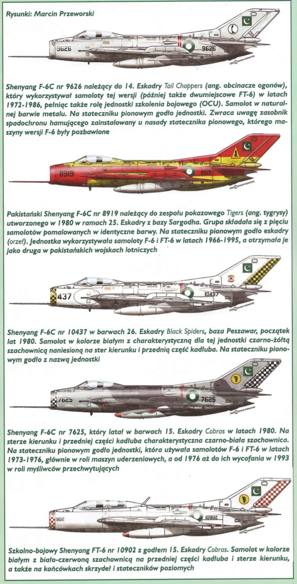 1706480813 115 Shenyang F 6 in Pakistani Service