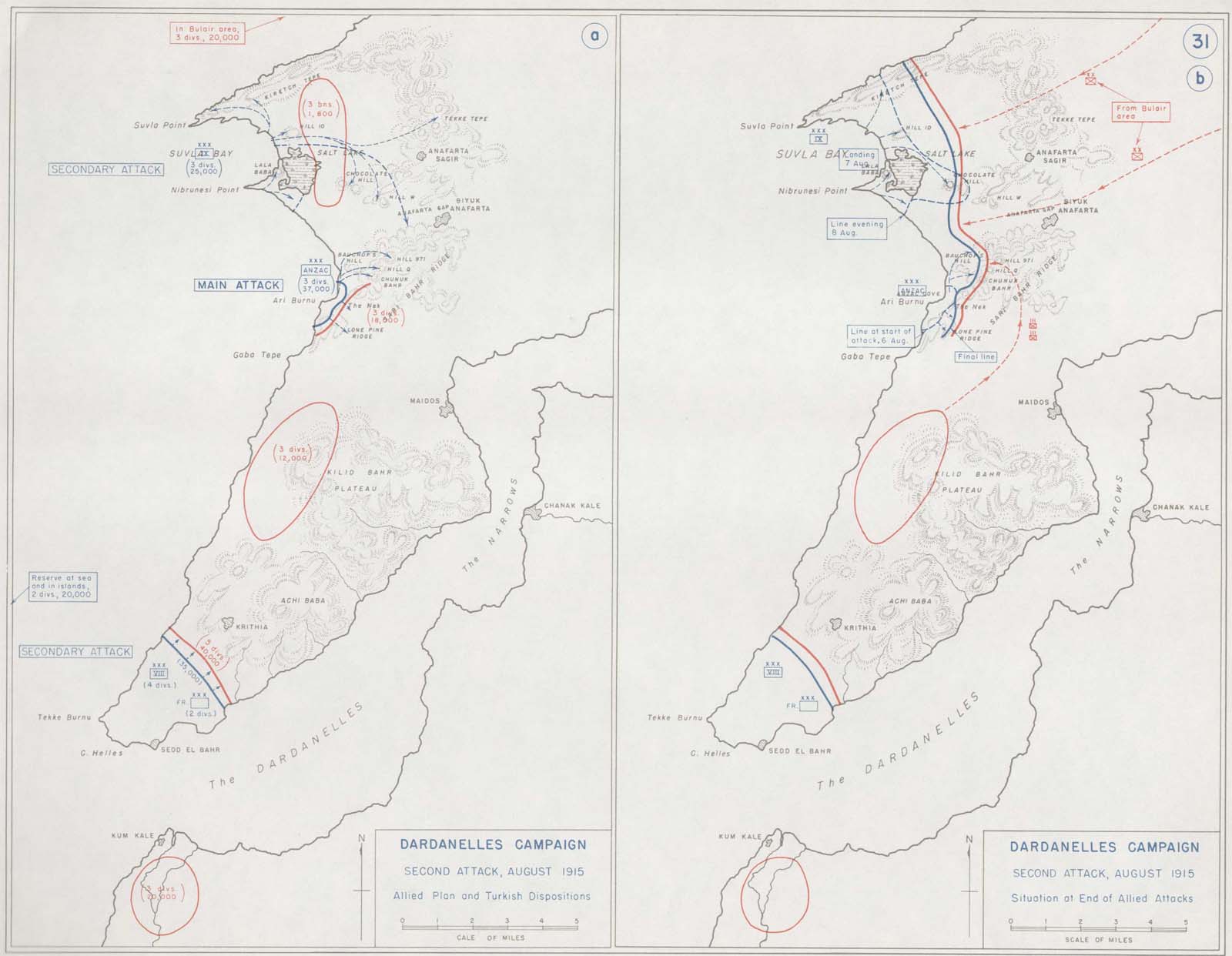 1706502332 821 The British at Gallipoli August 1915 Part IV