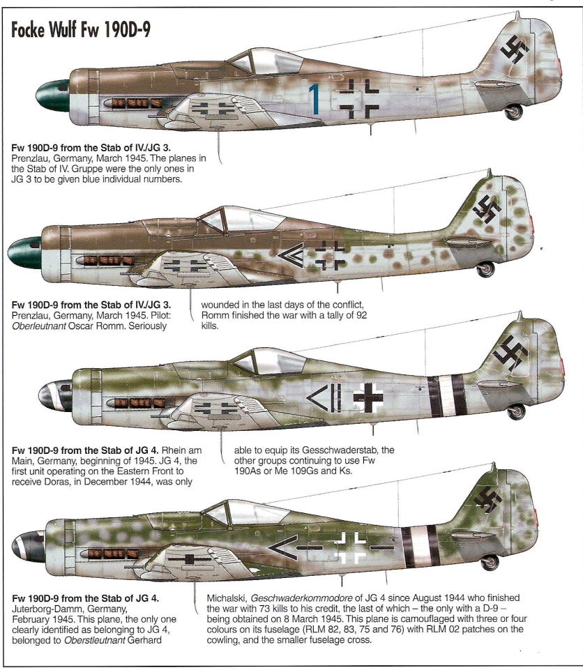 1706523733 304 Focke Wulf Fw 190D 9 Dora