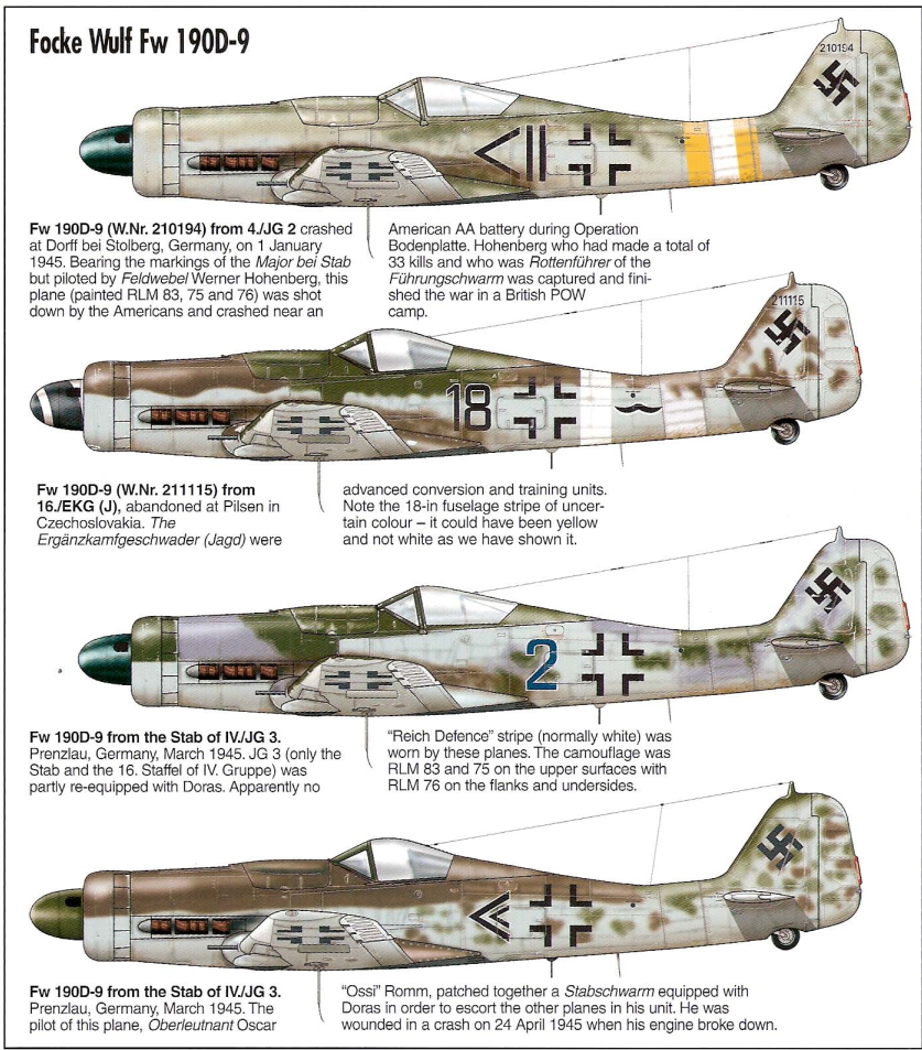 1706523733 595 Focke Wulf Fw 190D 9 Dora