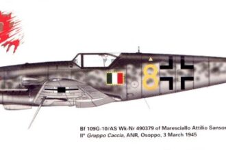 Messerschmitt-Bf-109G10-Erla-ANR-2Gr5Sqn-Yellow-8-Attilio-Sanson-Osoppo-1945-0A