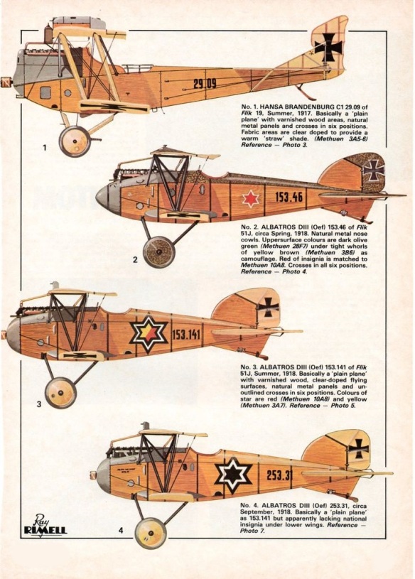 Austria Hungary – Air Service 1917