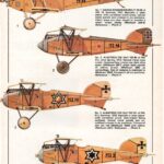 Austria-Hungary – Air Service 1917