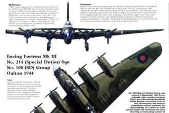 B-17 Clandestine/Special Service