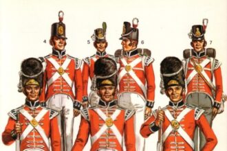 Coldstream Guards: The Struggle against Napoleon, 1793–1815