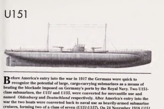 German WWI U-boats II