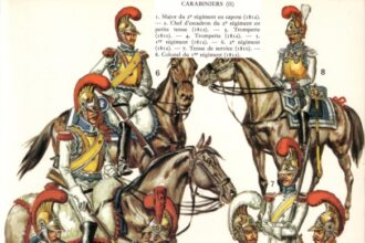 Napoleonic Cavalry II