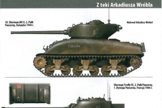 Polish Armoured Divisions Post 1939 Part II