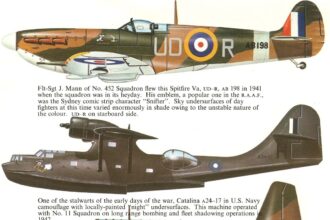 RAAF IN SOUTH-WEST PACIFIC 1942–44 PART II