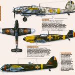 ROMANIAN AIR SERVICE WWII Part I