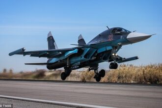 Russia: fighting in Syria?