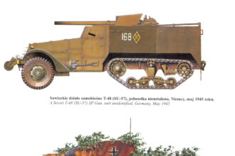Second World War AFVS II