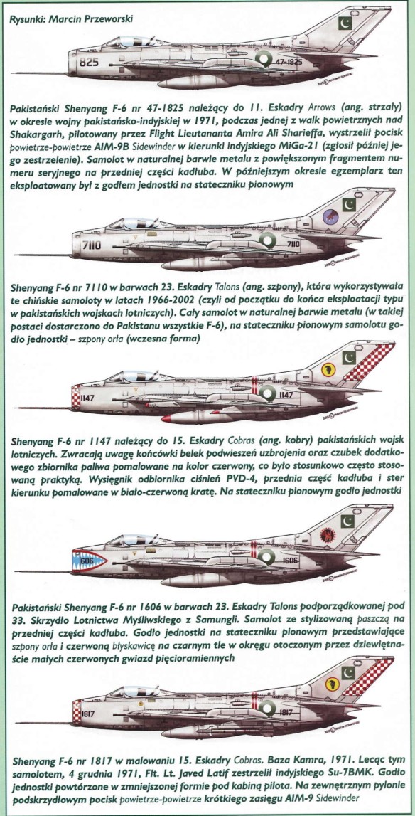 Shenyang F-6 in Pakistani Service