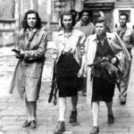 The European Resistance Movements of WWII Part II