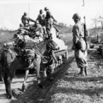 10th_Mountain_Division-advancing_in_April_1945
