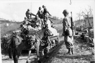 10th_Mountain_Division-advancing_in_April_1945