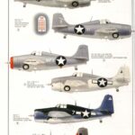 United States Navy Carrier Air Groups