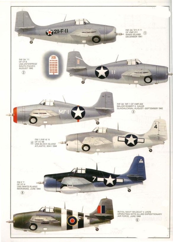 United States Navy Carrier Air Groups