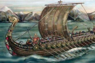 Viking Raids of Plunder